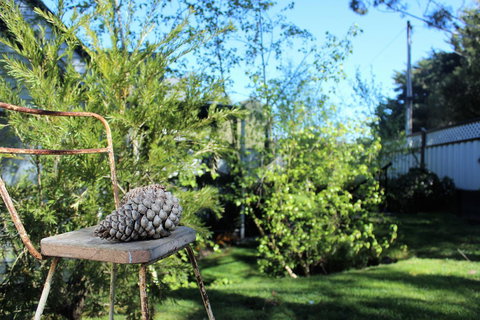 Cottage 4A - Foster Accommodation 13