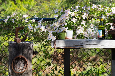 Cottage 4A - Foster Accommodation 4