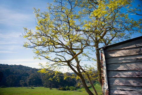 Cabrito - Foster Accommodation 9