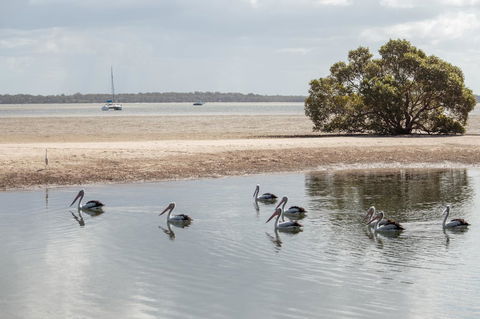BIG4 Breeze Holiday Parks - Rainbow Beach - Foster Accommodation 32