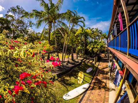 Cool Bananas Backpackers - Foster Accommodation 17