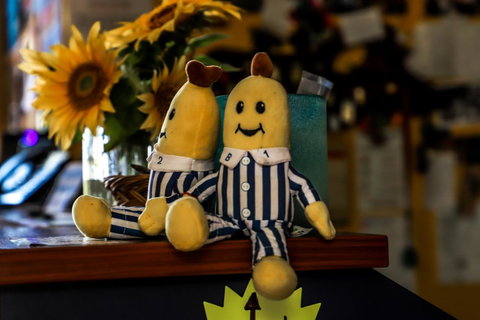 Cool Bananas Backpackers - Foster Accommodation 30