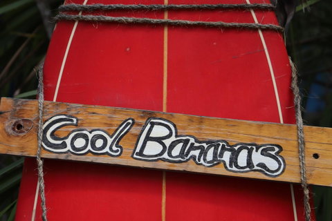 Cool Bananas Backpackers - Foster Accommodation 41