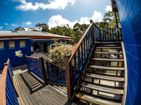 Cool Bananas Backpackers - Foster Accommodation 27