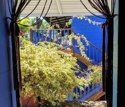 Cool Bananas Backpackers - Foster Accommodation 10