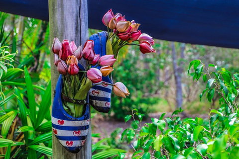 Cool Bananas Backpackers - Foster Accommodation 26