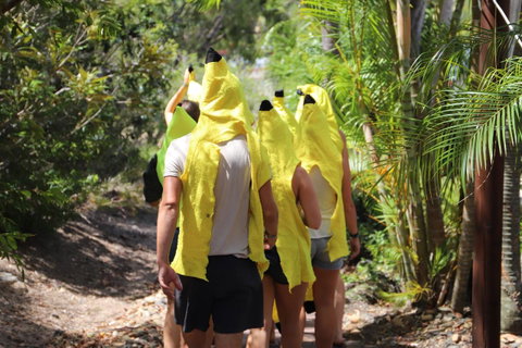 Cool Bananas Backpackers - Foster Accommodation 19