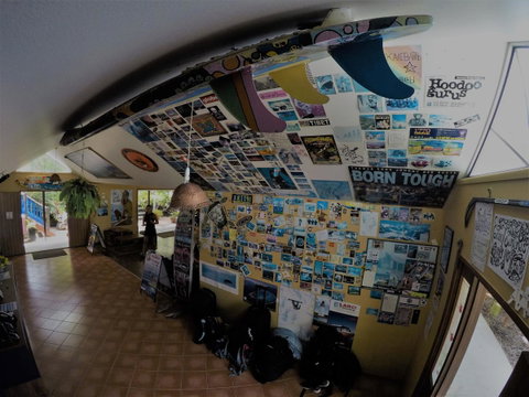 Cool Bananas Backpackers - Foster Accommodation 31