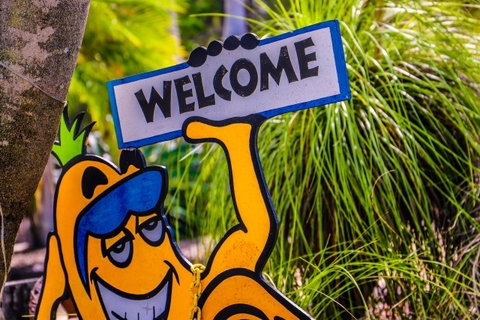 Cool Bananas Backpackers - Foster Accommodation 37