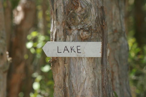 Lake Weyba Noosa Lodge & Kangaroos - Foster Accommodation 36