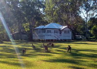 Book Peregian Beach Accommodation Vacations Foster Accommodation Foster Accommodation