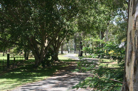 Lake Weyba Noosa Lodge & Kangaroos - Foster Accommodation 34