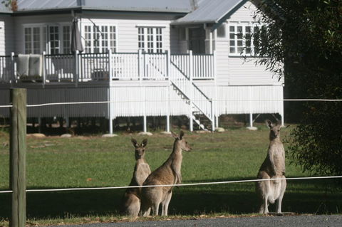 Lake Weyba Noosa Lodge & Kangaroos - Foster Accommodation 28