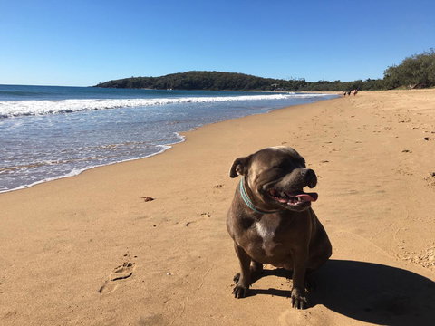 KiteSurf 1770 Beach House - Foster Accommodation 12