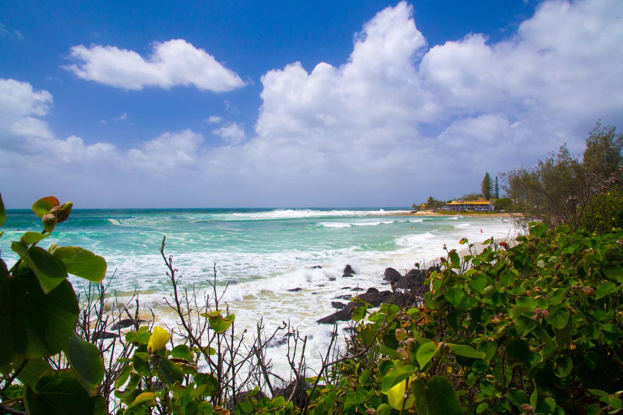 Coolangatta QLD Foster Accommodation