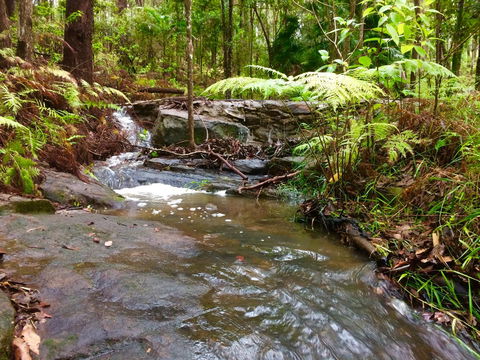 Noosa Hinterland Retreat - Foster Accommodation 12