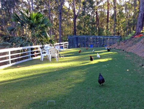 Noosa Hinterland Retreat - Foster Accommodation 11