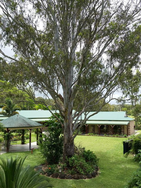The Bearded Dragon Boutique Hotel - Foster Accommodation 32