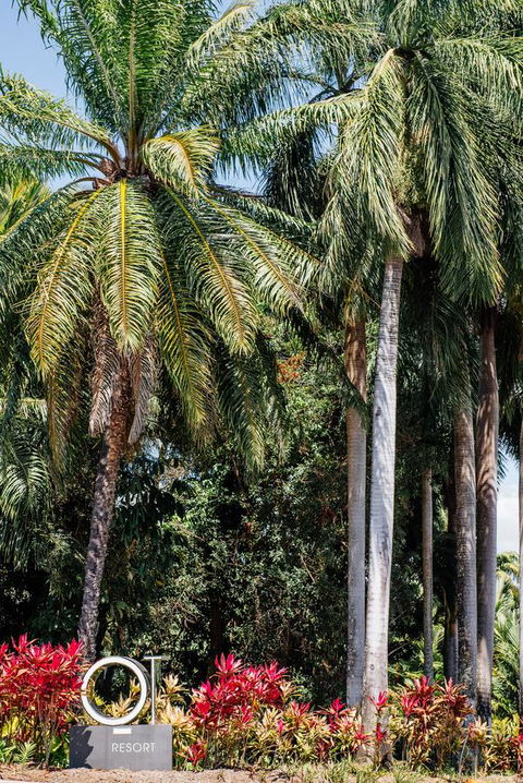 Oaks Port Douglas Resort - Foster Accommodation 40