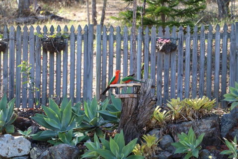 The Hideaway Agnes Water (Adults Only) - Foster Accommodation 40
