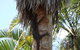 The Hideaway Agnes Water (Adults Only) - thumb 44