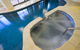 Headland Tropicana Resort - thumb 4