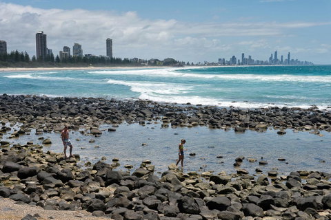 Oceania On Burleigh Beach - Foster Accommodation 42