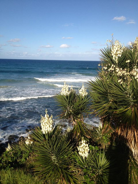 Oceania On Burleigh Beach - Foster Accommodation 23