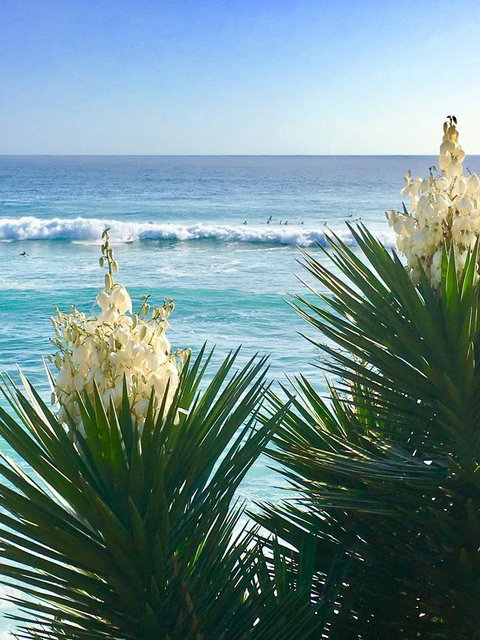 Oceania On Burleigh Beach - Foster Accommodation 21