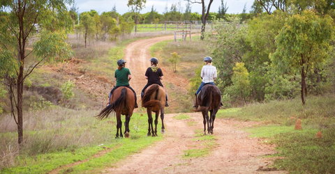 Ironbark House - Foster Accommodation 22