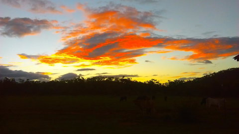Ironbark House - Foster Accommodation 32