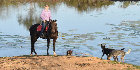 Ironbark House - Foster Accommodation 39