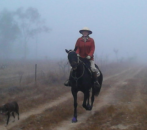 Ironbark House - Foster Accommodation 37