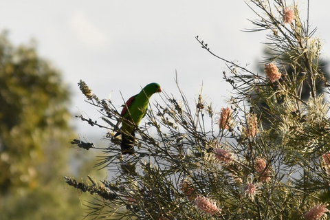 Ironbark House - Foster Accommodation 29