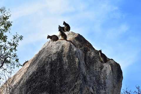 Ironbark House - Foster Accommodation 38