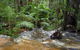 Forest Lodge: Little Villa - thumb 17