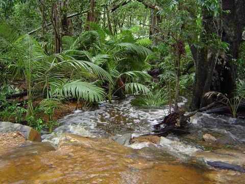 Forest Lodge: Little Villa - Foster Accommodation 17