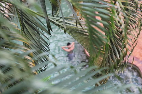 Coral Tree Inn - Foster Accommodation 36