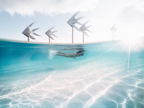 Coral Tree Inn - Foster Accommodation 39