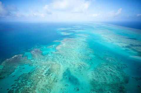 Coral Tree Inn - Foster Accommodation 37