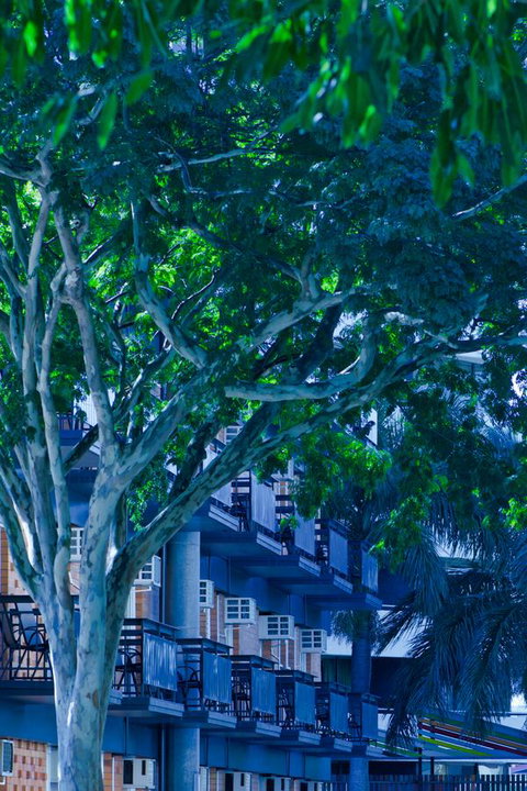 Soho Brisbane - Foster Accommodation 12