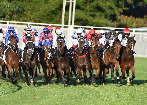 Best Western Airport 85 Motel - Foster Accommodation 10