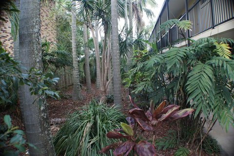 Best Western Airport 85 Motel - Foster Accommodation 34