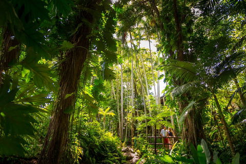 Cairns Colonial Club Resort - Foster Accommodation 22