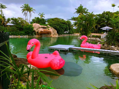 Cairns Colonial Club Resort - Foster Accommodation 6