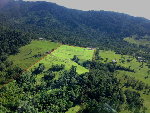 Misty Mountains Rainforest Retreat - Foster Accommodation 33
