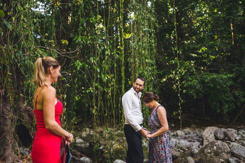 Misty Mountains Rainforest Retreat - Foster Accommodation 15