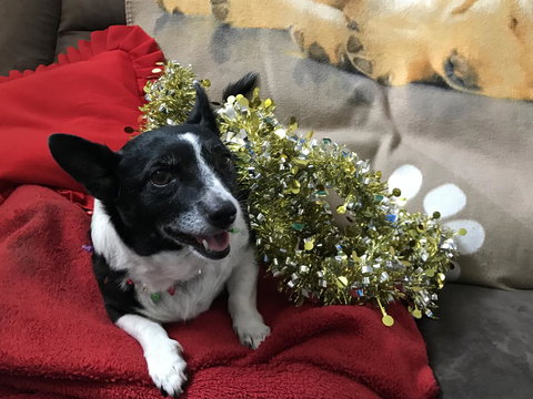 Nanango Star Motel - Foster Accommodation 14