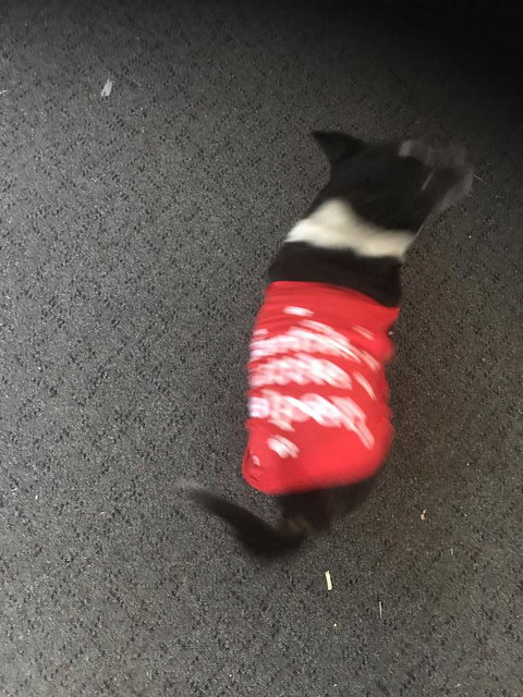 Nanango Star Motel - Foster Accommodation 1