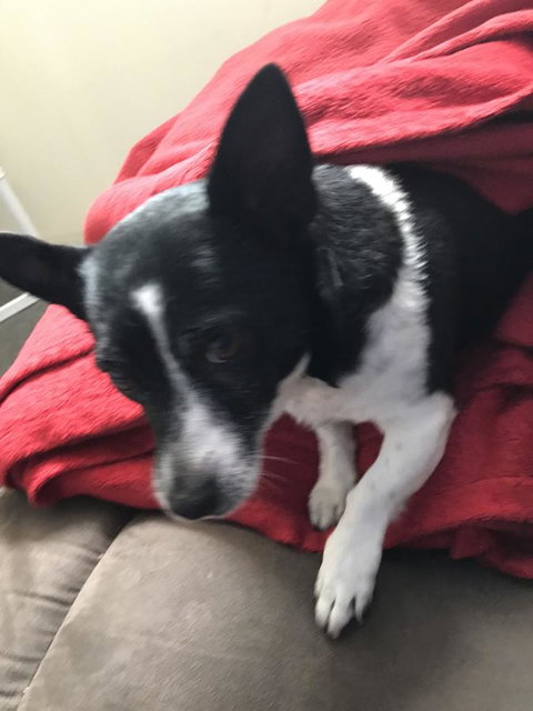 Nanango Star Motel - Foster Accommodation 15